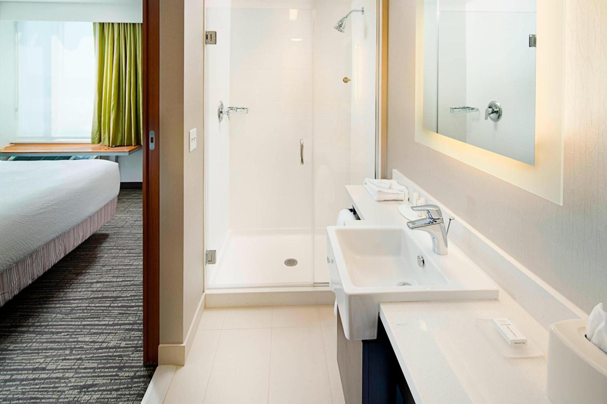 Springhill Suites By Marriott Carle Place Garden City Dış mekan fotoğraf